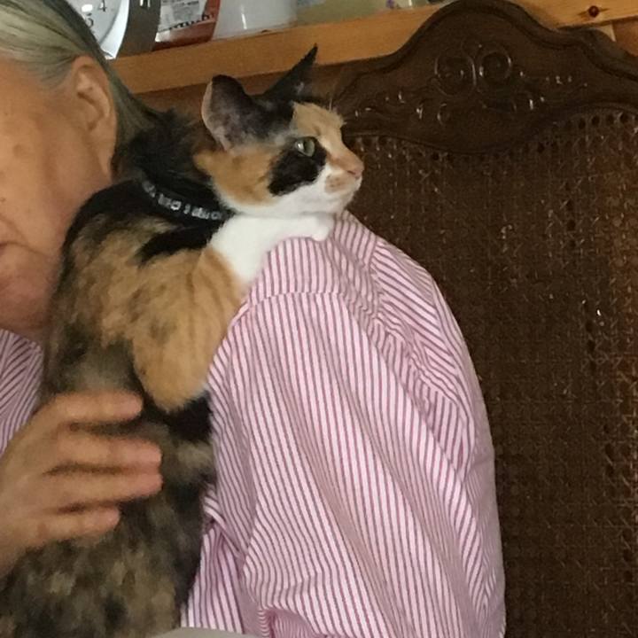 Cf6f2237 e402 485b b975 09117e9727ea