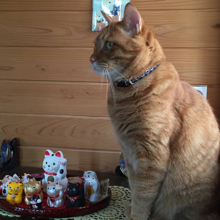 Cf6f7de9 bf49 4554 83b8 42cd75efda49