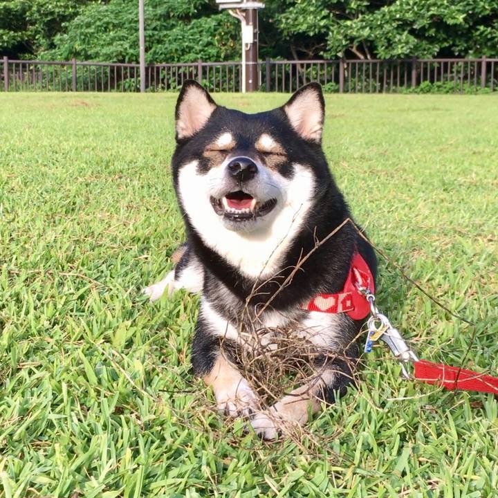 Cf6f93be f130 45d6 b014 b1fa53de0930