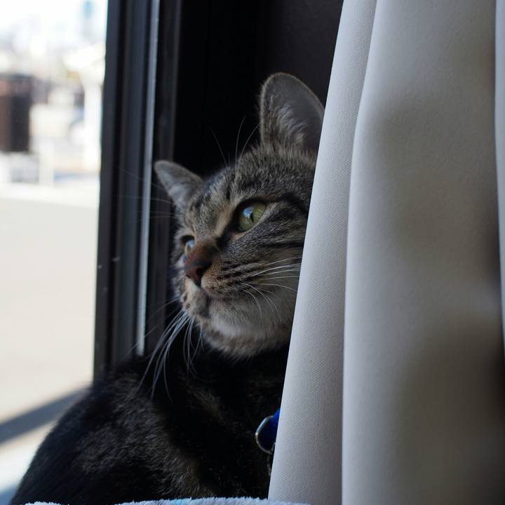 Cf702c8e 9545 41f3 8304 93b65ed3ca87