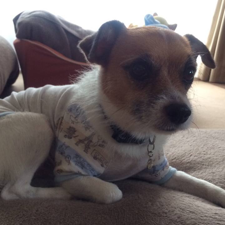 Cf7061c6 b935 47fe a1aa a2dfb73a2f01