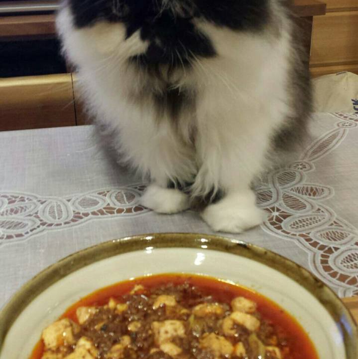 Cf707de1 fe59 48f6 b601 267652630d8d