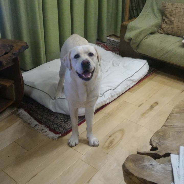 Cf70a0e2 07f9 4a70 aba2 65e91807f1b6