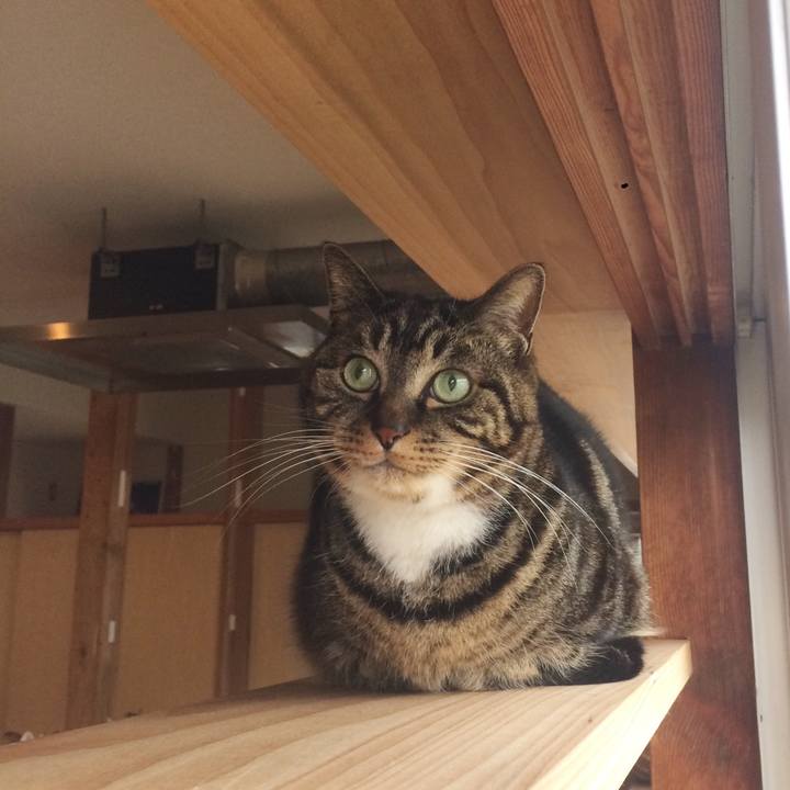 Cf70fa8c 393a 4010 9c34 3d2342a78335