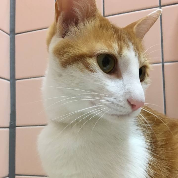 Cf71667a 8c4d 4085 b204 8d6447bbfa14