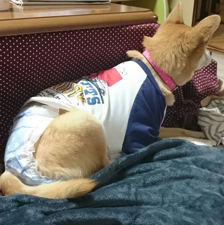 Cf71e31d b6fb 496f 8d6a bffd6d32d3e9