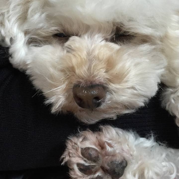 Cf71e40e 0b8c 4f70 92f9 c5d37fd0aca6