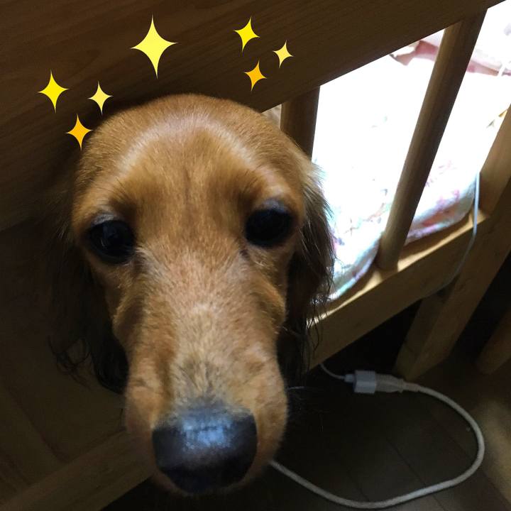 Cf721c2f 1421 4ab4 a851 64f12c8a1c03