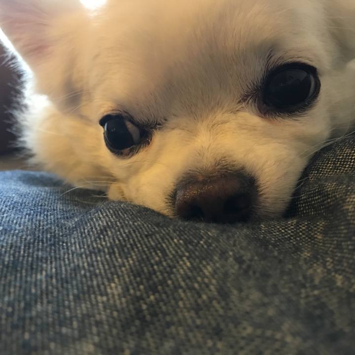 Cf727d04 d124 421b b5ef 83b69bac9d21