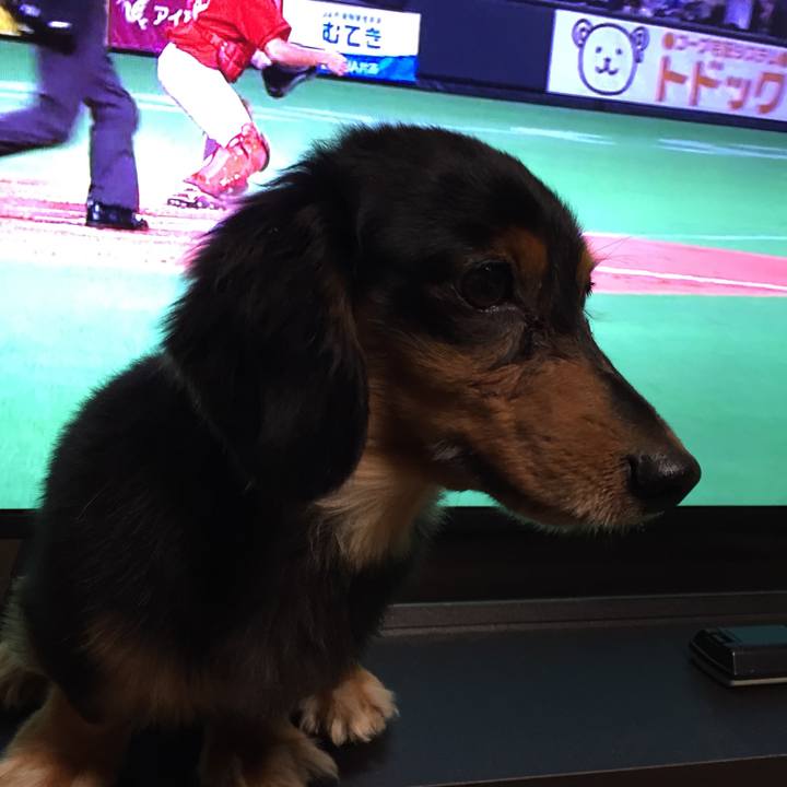 Cf72d2bf eba2 4350 91c2 573cdce3808a