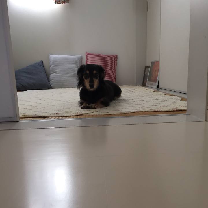 Cf72df86 1ed4 436b 82b1 514f44ac1c41