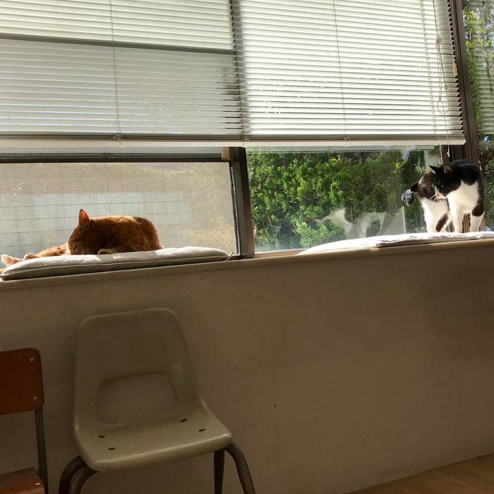 Cf7306a8 da0c 410d b3f0 d627185c523e