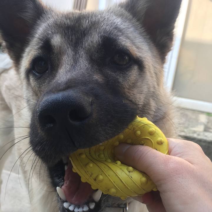 Cf73489e a5a7 477c a00d 7b34113c76e6