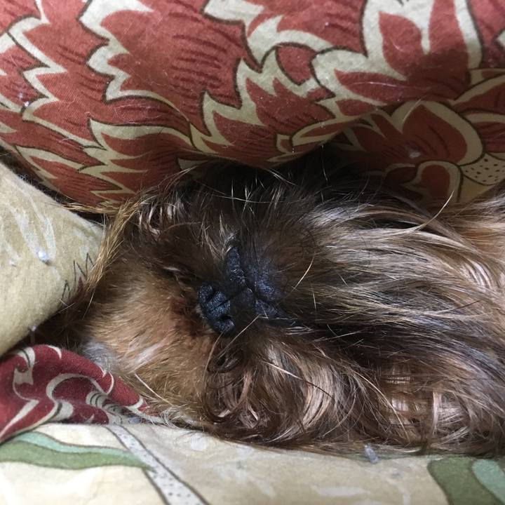 Cf735c74 27d8 4963 ae14 bf15c3da3680