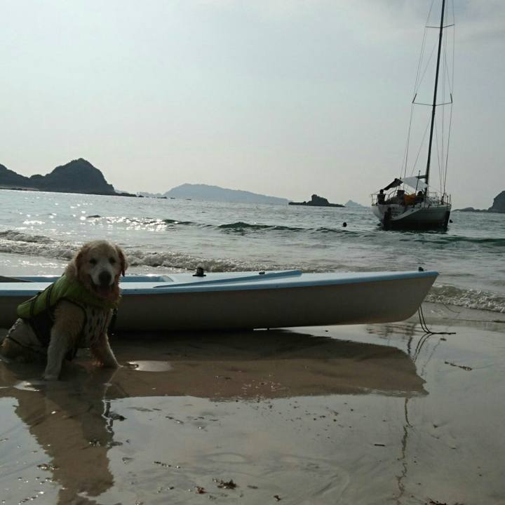 Cf73fda8 8777 4811 b90a 93ec2443af5a