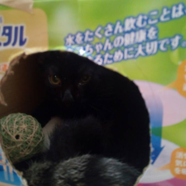 Cf74df15 ea4b 45a8 9ac8 db1de4d02a12