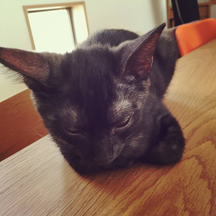 Cf74e921 4952 458b a55b 3586c1b60a19