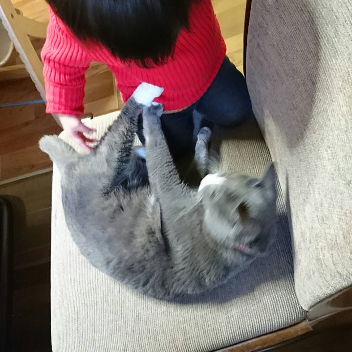 Cf7558a6 0a0f 48f6 9634 66a3b75fcd78