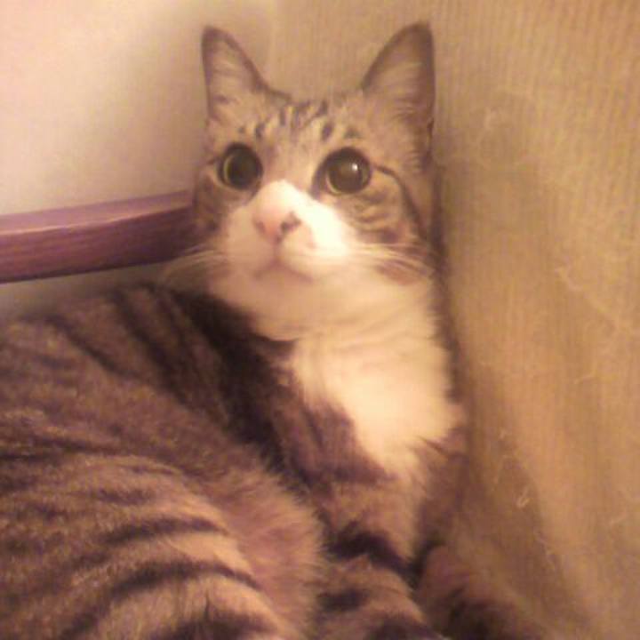 Cf7607a0 48be 4166 825a 03cc907e3303