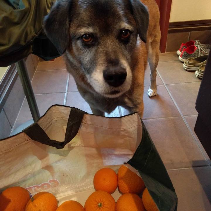 Cf7635b7 0652 4d26 a5e6 7d659a3b96f0