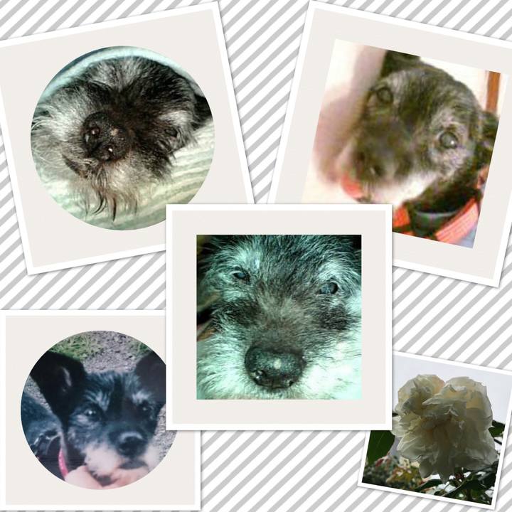 Cf77897f 8819 43cf 8f27 b6efe01ab359