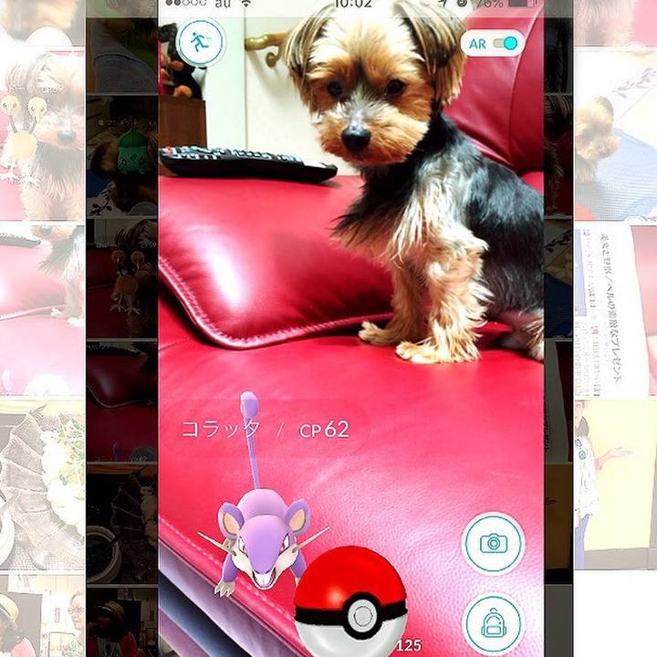 Cf77d005 5804 4c1c 98fd 529ae4e0a5ce