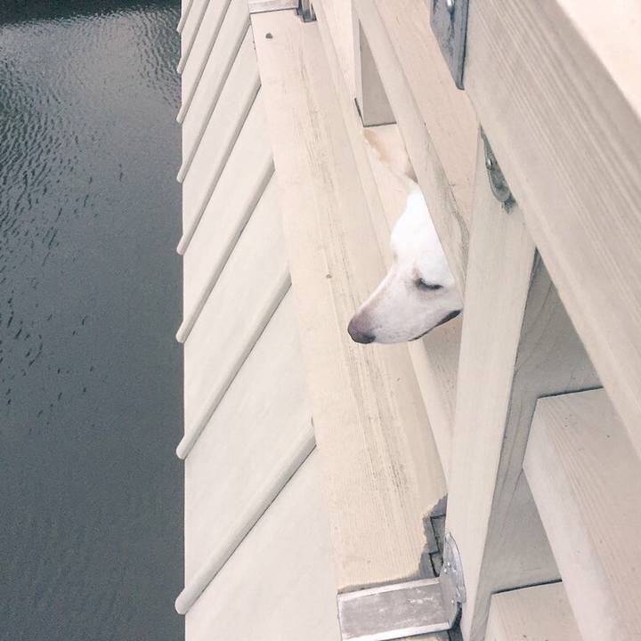 Cf77dac3 35fa 4749 b299 2b759cadc565