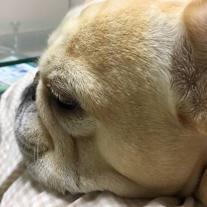 Cf78c02f 4f26 477e a00b 7ac737f519ae