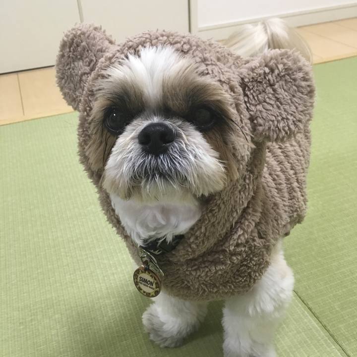 Cf78e2e9 06c0 4c32 b2ab 78bfcbdc216b