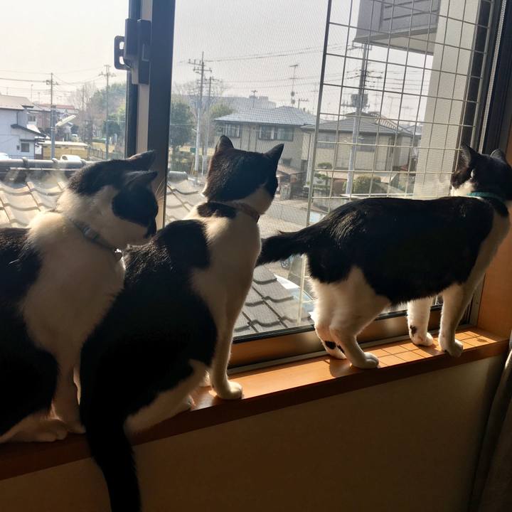 Cf793884 3432 4f3c b618 89dfdac7c56a