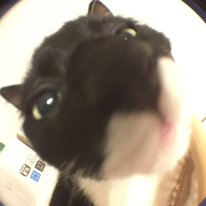 Cf7989c0 4ebe 45bc 8799 480cb62e350f