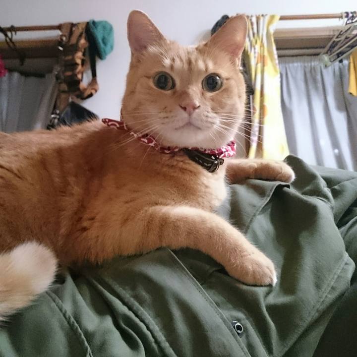 Cf79eeb0 9600 47c4 978a 12f1d0b36fb9