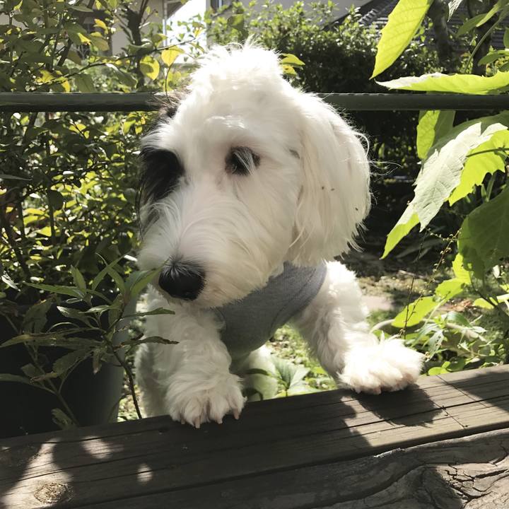 Cf7a1b61 61bb 4955 978f 432af2a768c7