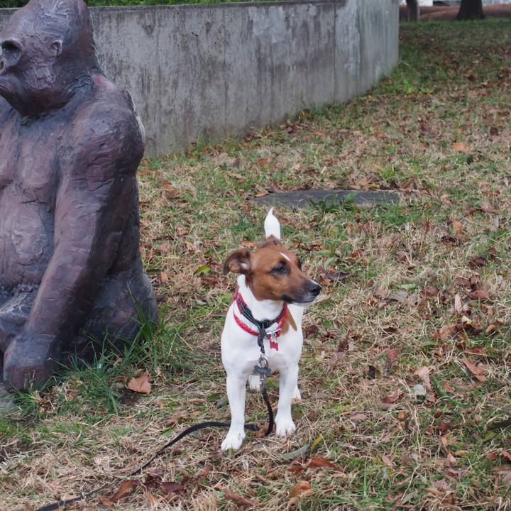 Cf7a2023 4852 411c 91e2 176f6d6f416e