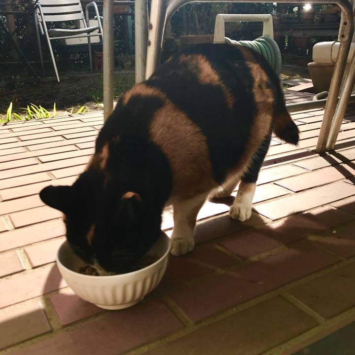 Cf7a4205 b2de 47d0 a5aa f0d15befc7b6