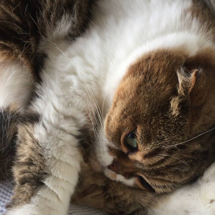 Cf7a4c55 6f07 4c27 9b90 293f501a0250