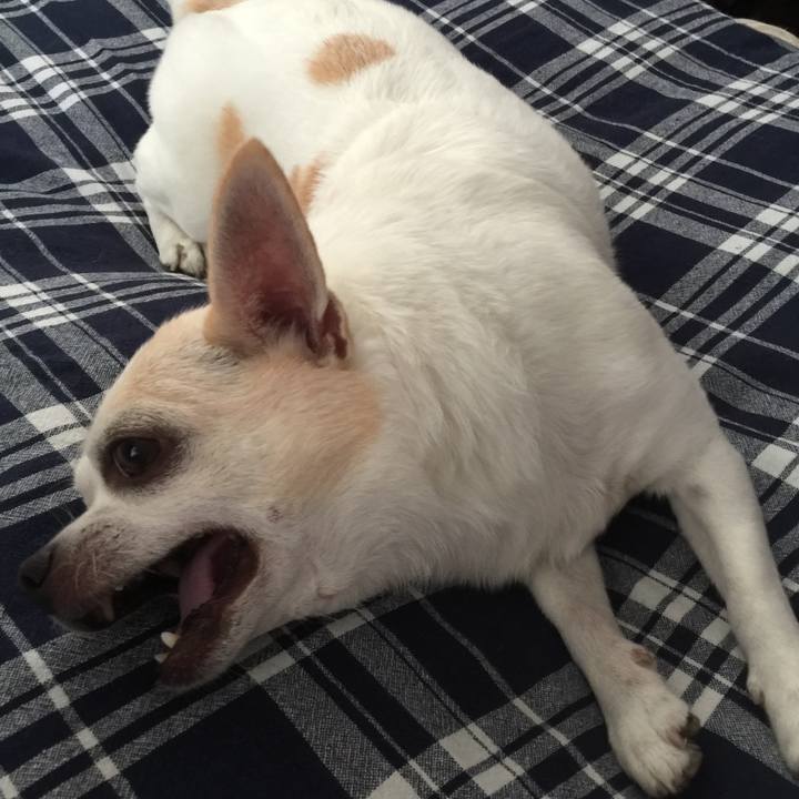 Cf7a6076 eeb0 42b1 aece 1c057f0fa990