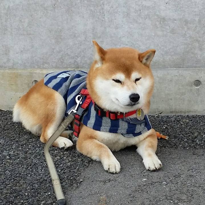 Cf7a75a0 4a93 423e 9fbe 282864aa3bec