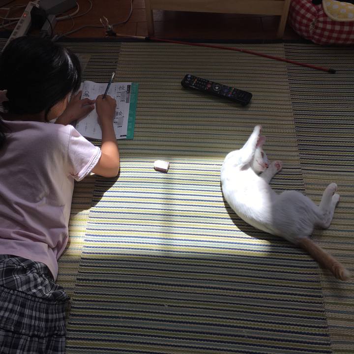 Cf7b429c 456c 4cea 84be 24452c517c56