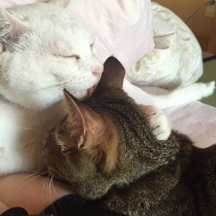 Cf7b9913 299a 4113 812e fa014a3836a5