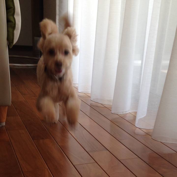 Cf7bc70f 3bd5 4b24 960b 52f3af381f46