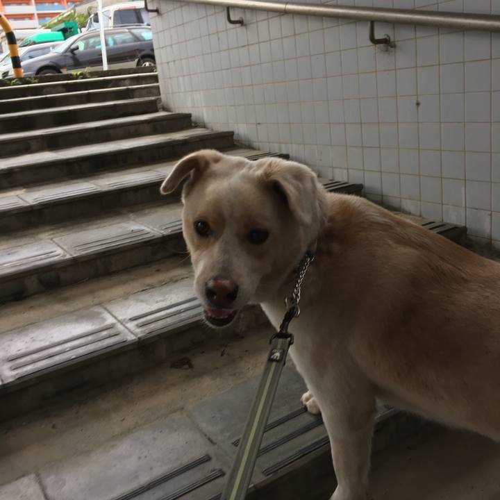 Cf7c1b40 d16a 49df 9e7f 4d84f329a1b1