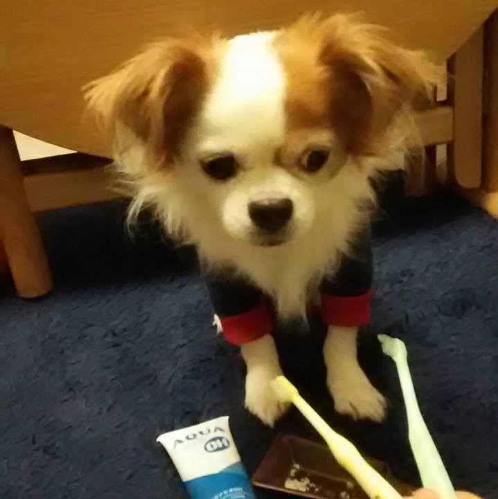 Cf7c7491 e248 448f 9e9b bbd4460d91e0