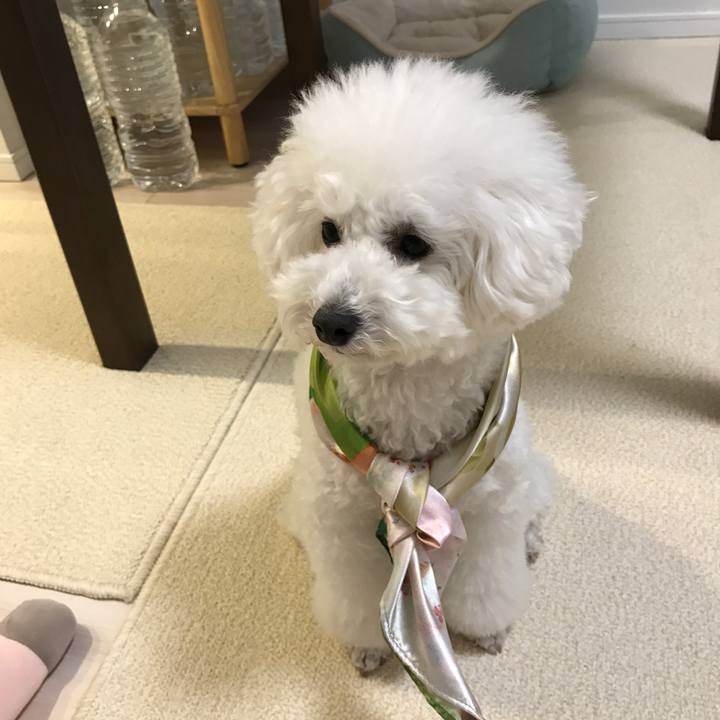 Cf7c9699 228a 4e17 a8f8 b8720419ef92