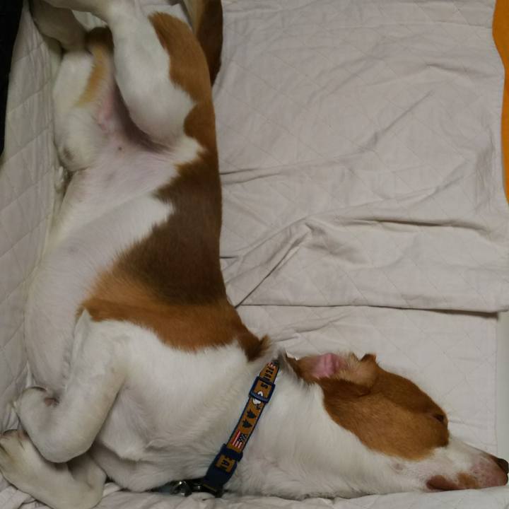 Cf7cf044 e3f7 4ac5 8eff 0e6932819caa