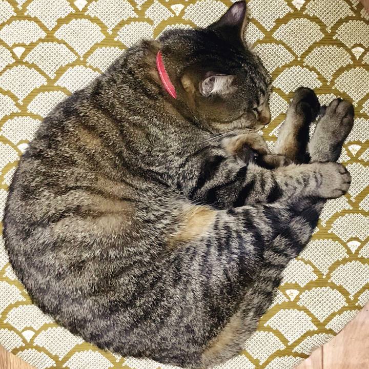 Cf7d0929 8ce9 4828 9129 de799f2d2277