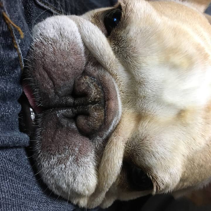 Cf7d1527 552d 4c29 a34a bc26c94bb794