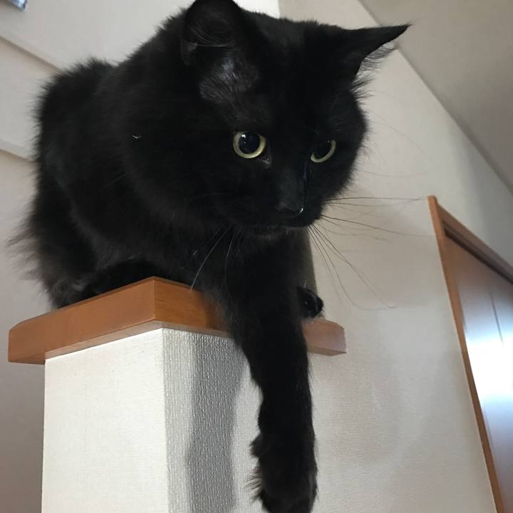 Cf7d8db2 fb92 408b bd66 7d5a470b1f40