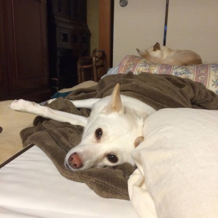 Cf7dcbe2 1210 46e6 948e dac20441765d