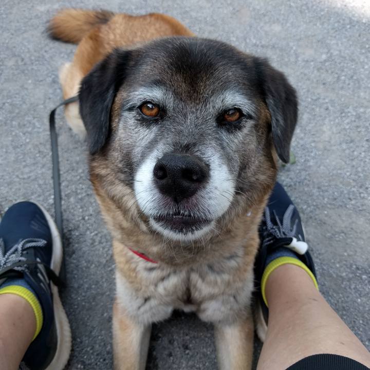 Cf7de3e6 0bea 4b7a 80dc 3e56a7c669be